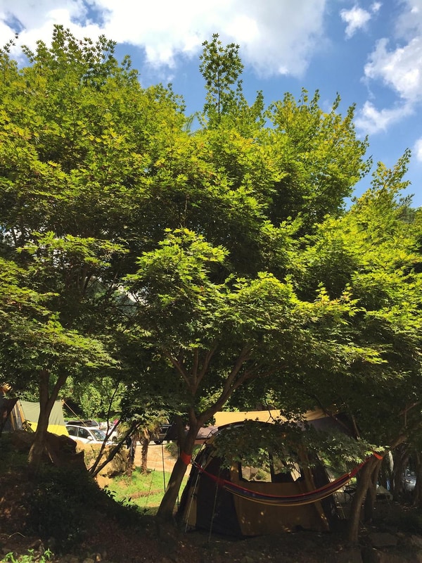 섬지캠핑장 시설 사진 27