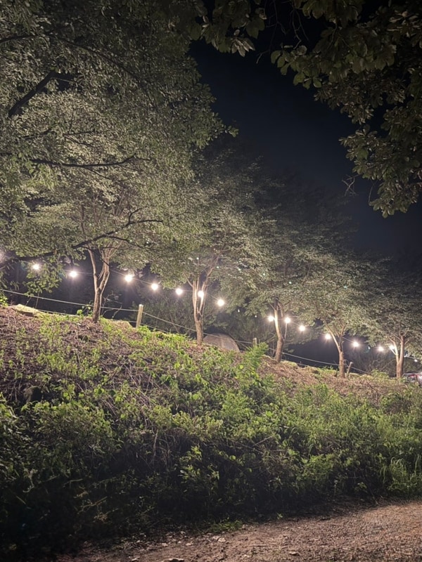 25년 여름 휴가 - 포천 각흘 계곡 캠핑장 / D7 사이트 후기