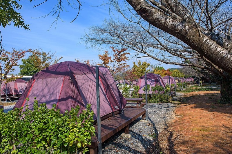 함평나비마을 서울캠핑장 시설 사진 7
