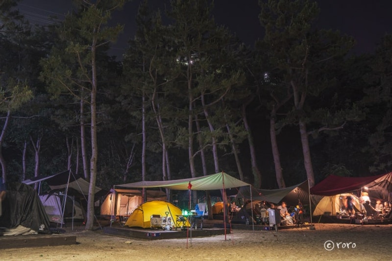 캠핑일기 #62. 삼척 장호비치캠핑장 (D구역)