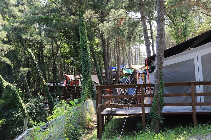 트리캠핑장 시설 사진 5