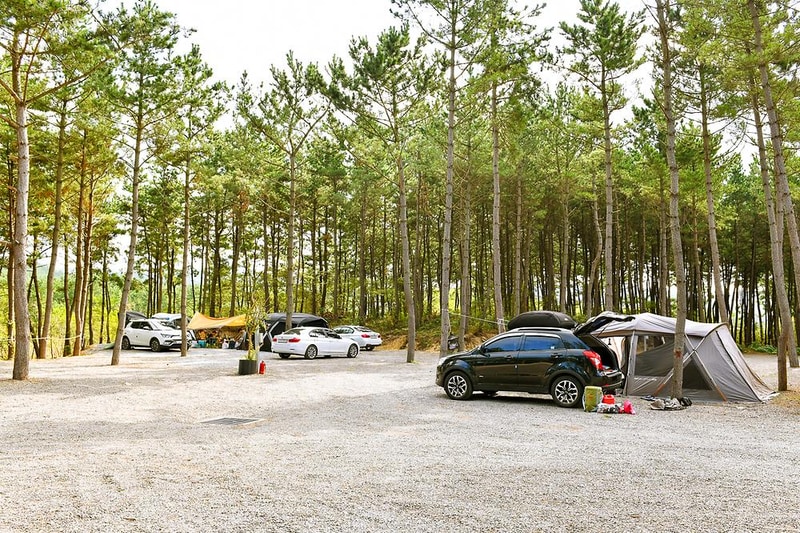 신두리정원오토캠핑야영장 시설 사진 5