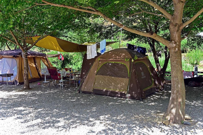 무릉도원 오토캠핑장 시설 사진 8