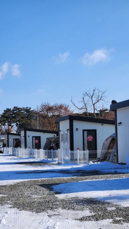 충남홍성 반려견동반 캠핑장... 울타리,개수대 내포캠핑스퀘어