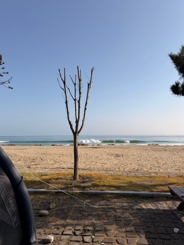 울진 염전해변캠핑장 오토캠핑1번 ️