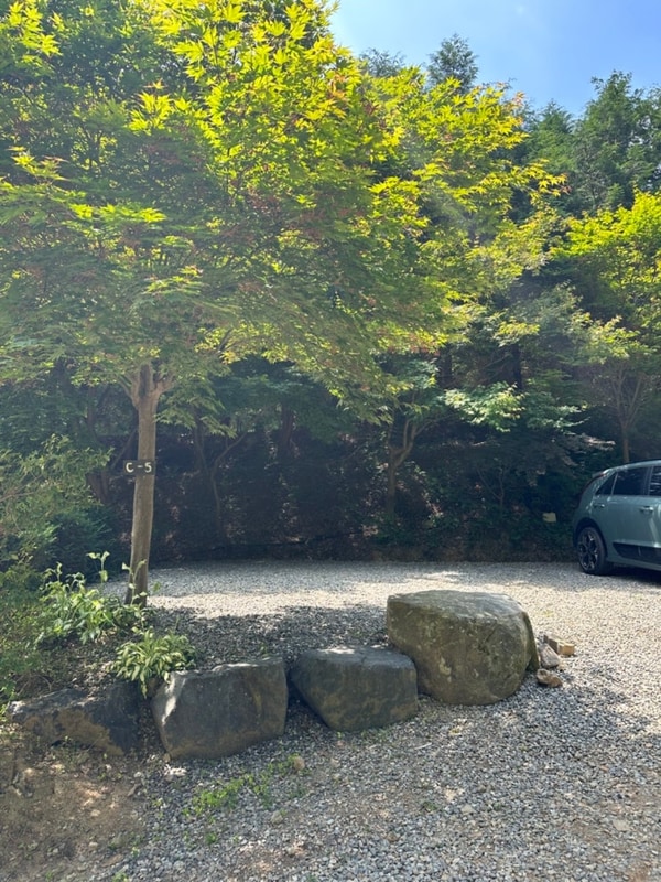 [캠핑] 부여_내안의 숲 오토캠핑장