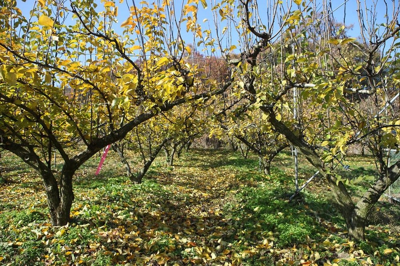 박석 캠핑장 시설 사진 6