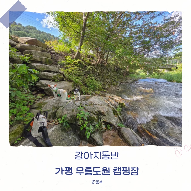 강아지동반[ 가평 무릉도원캠핑장 ]첫캠핑