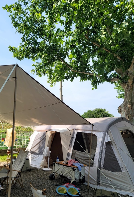 32번째캠핑_안림딸기마을캠핑장