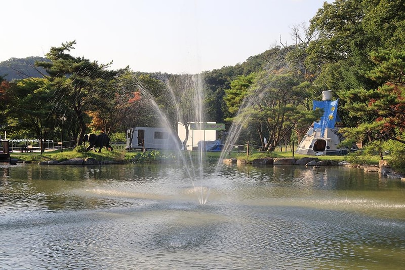 아프리카예술박물관 캠핑장 시설 사진 27