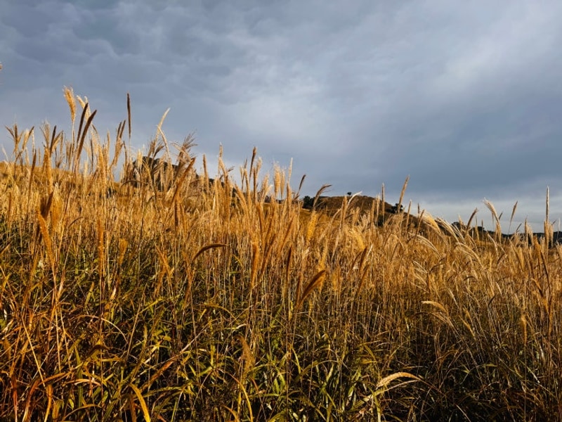 10/24~26. 합천 황매산 숲속 야영장