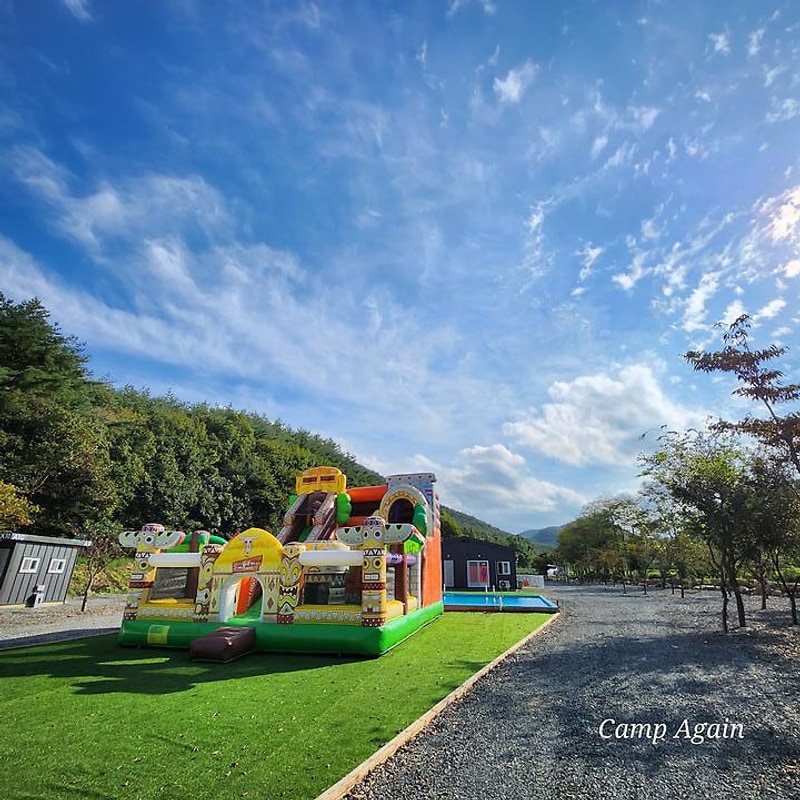 캠프어게인 대표 사진