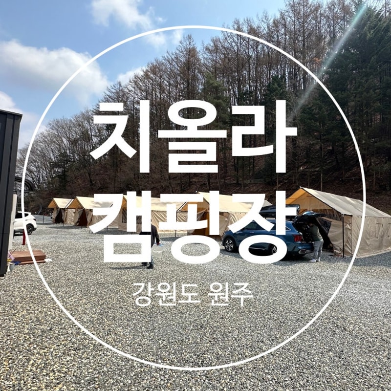 [강원도/원주] 풀타프존이 있는 치올라 캠핑장 1박 후기