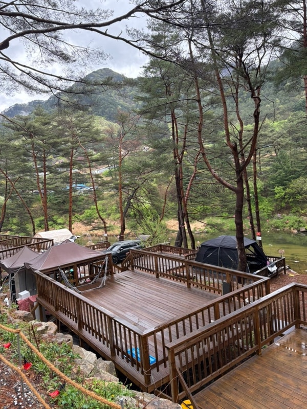 평창캠핑장 숲뷰&계곡뷰& 명당 사이트/ 우중캠팽, 리버파크캠핑...