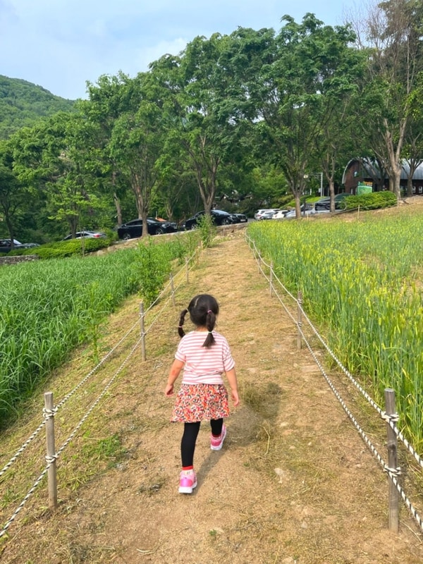 4인가족 여행 용인 1박2일 1: 용인자연휴양림 카라반, 바베큐