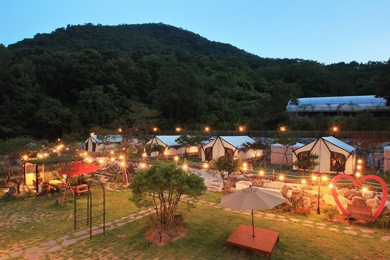 캠프향기 대표 사진