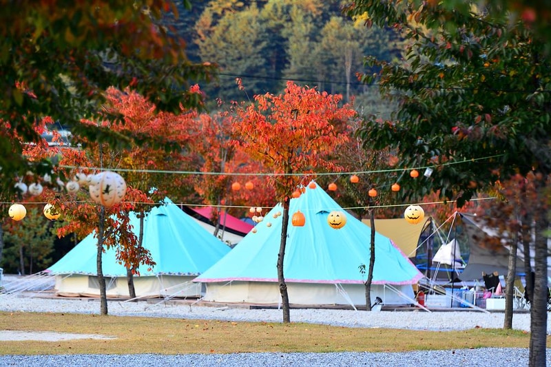 아리움캠핑장 시설 사진 23