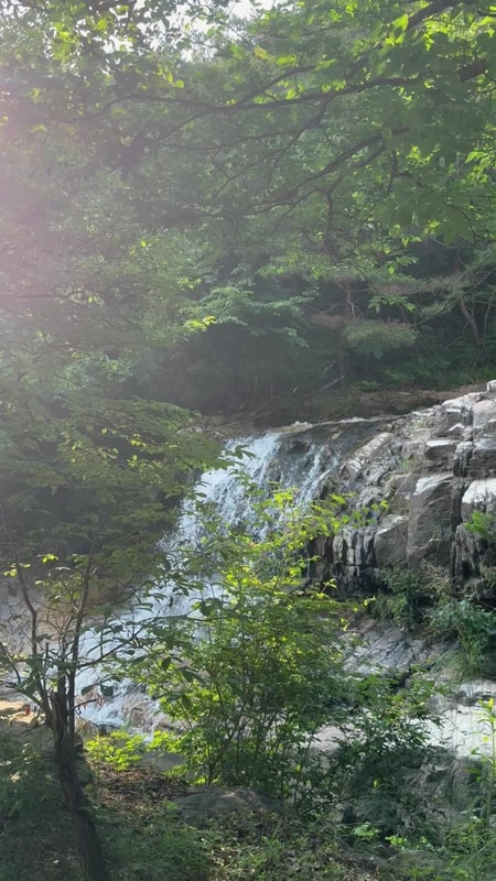 광주 근교 계곡이 있는 곡성 꿈꾸는 캠핑장 사이트 추천