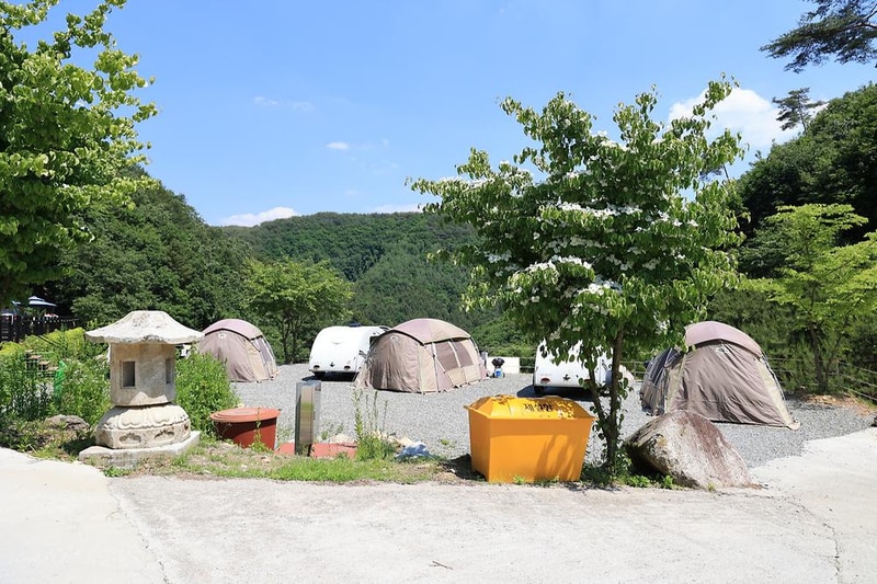 비발디캠핑파크 미루나무점 시설 사진 17