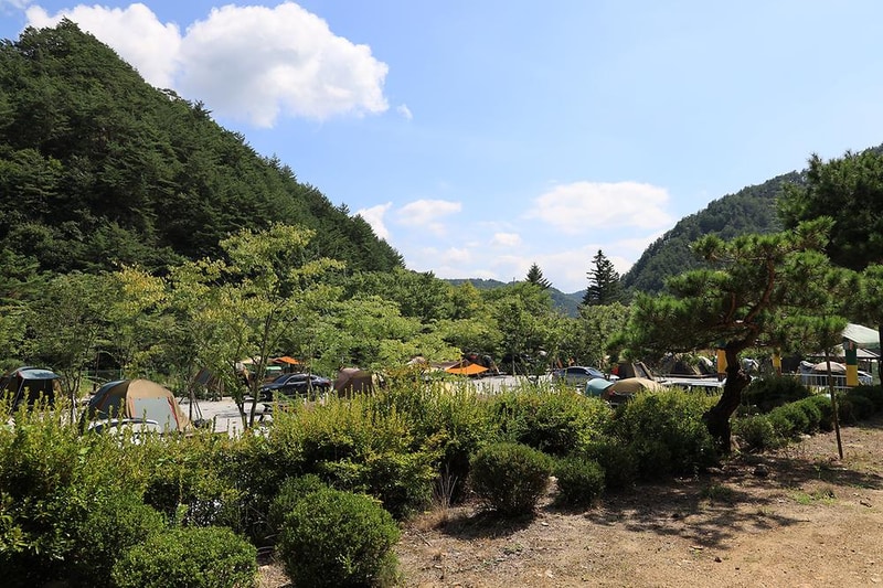 봉화솔향가득서울캠핑장 시설 사진 8