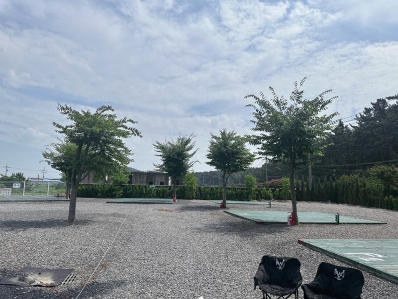 별빛갯벌 캠핑장_갯벌체험 이야기