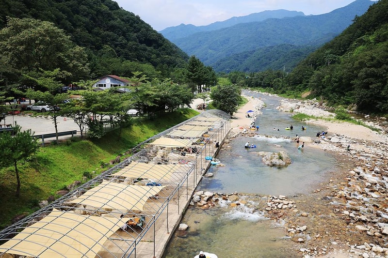 오색허브농원 캠핑장 시설 사진 13