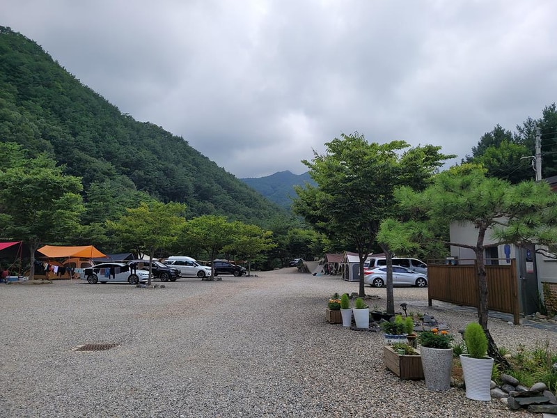 왕피천하늘담야영장 시설 사진 9