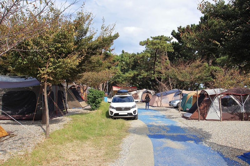 그린오토캠핑장 시설 사진 5