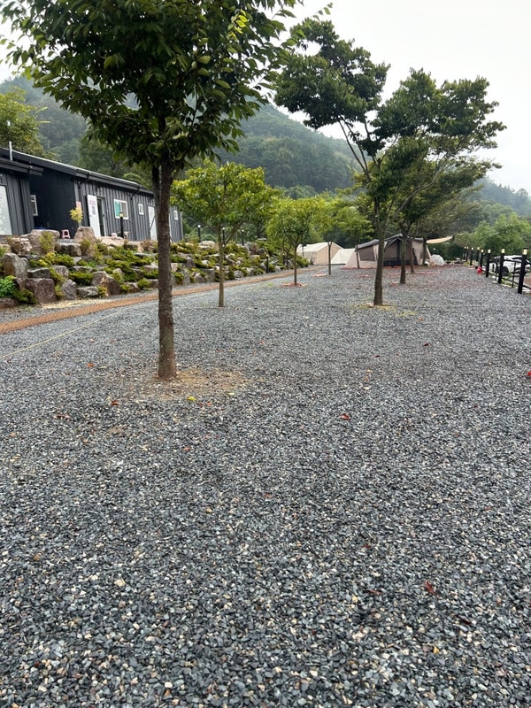 대구 근교 오토캠핑장 [청도 캠프1530] 2박3일 이용 솔직후기⛺