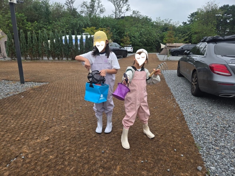 태안 구례포해수욕장 갯벌체험 캠핑장 캠프해놀 추천 그리고...