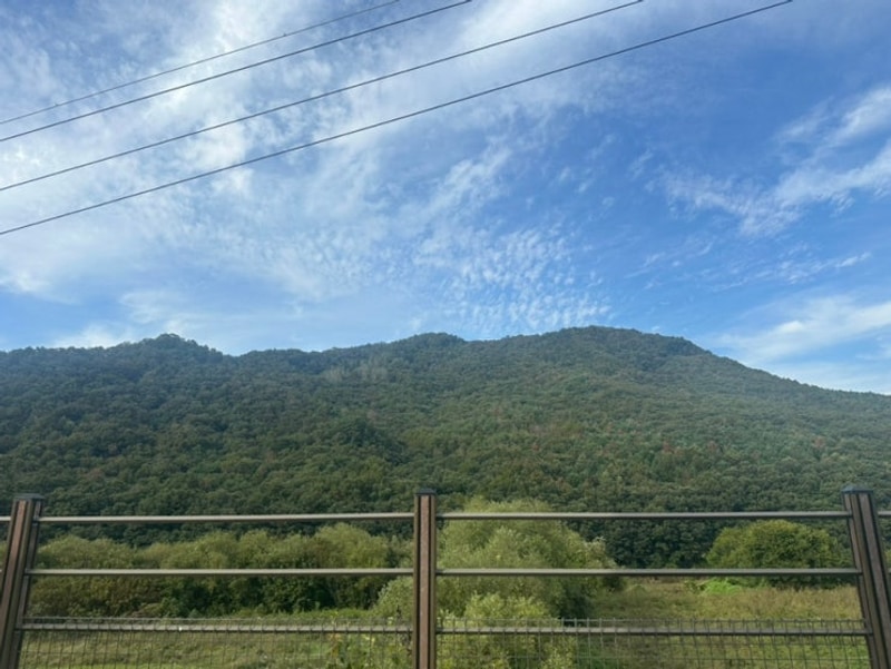 강원도 홍천 마운틴87 캠핑장(타프존 캠핑장, 1박 가능)