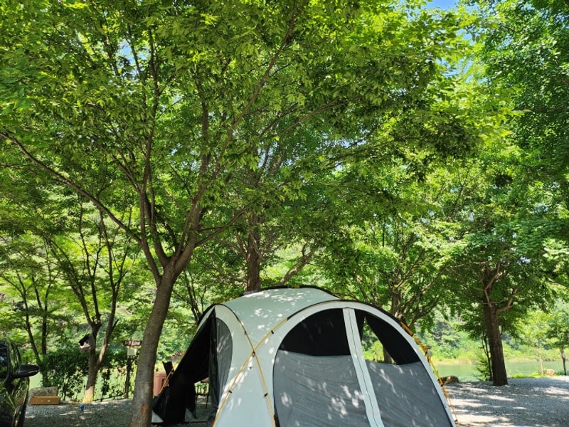문경여행 미산가족오토캠핑장 선유동계곡