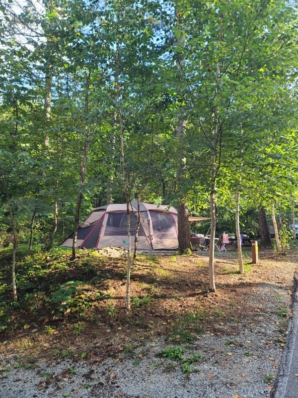 국립화천숲속야영장 캠핑