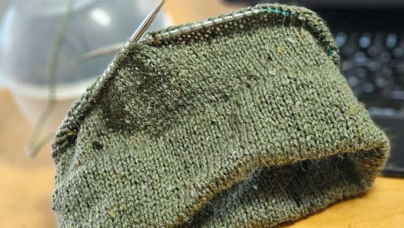 쿠키 선물, 벅벅버거, 숏비니와 아임낫레더, 고창 보다더캠핑