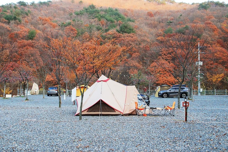 용천토리 오토캠핑장 시설 사진 10