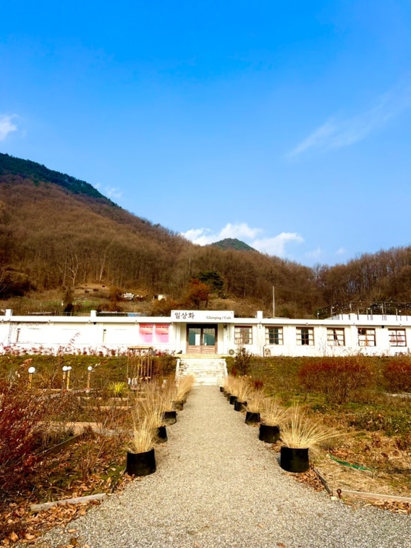 보은카페 대형카페 폐교개조카페 & 글램핑장 “일상화“