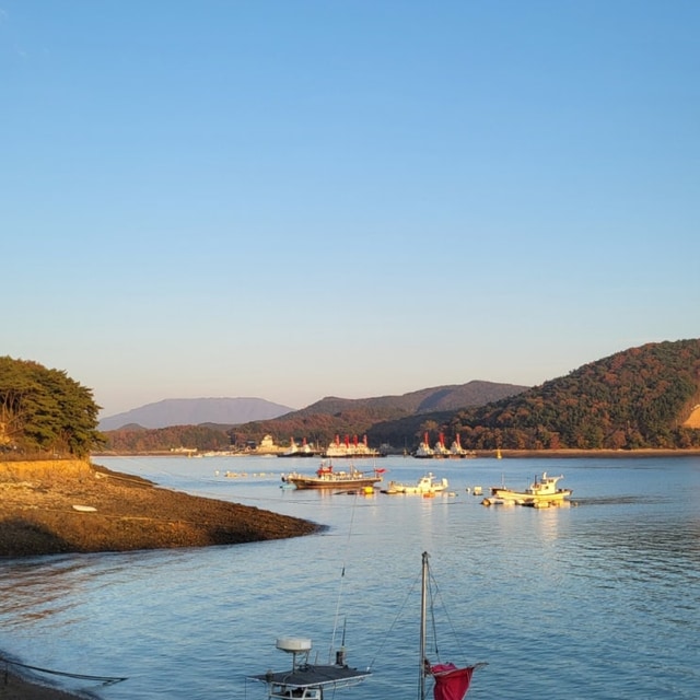 서해캠핑장 대표 사진