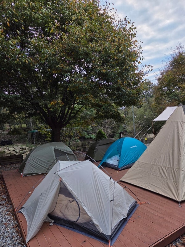 캠핑 일기 14 : 충북 괴산 화양숲노리캠핑장