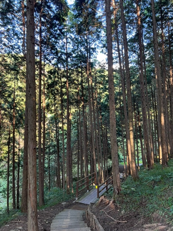 사천 케이블카 자연휴양림 야영데크 명당 예약