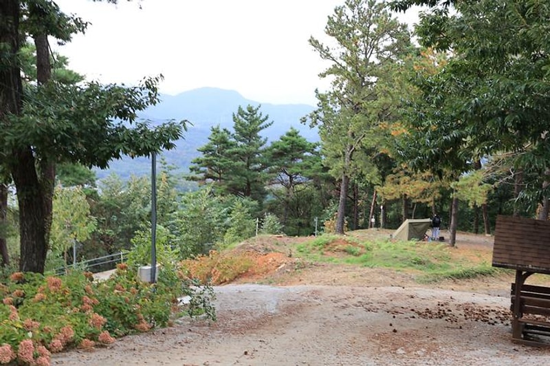 금오산 관광농원 대표 사진