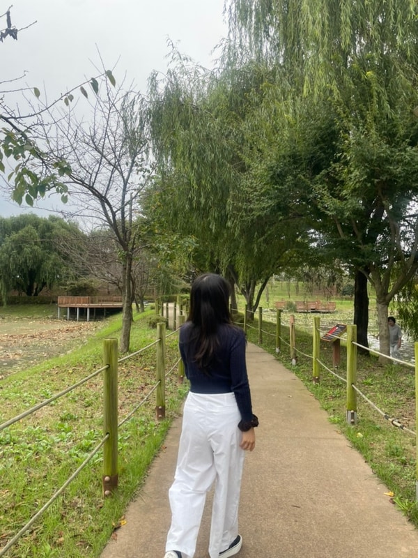 평택갈만한곳 소풍정원 가을나들이 캠핑장 추천