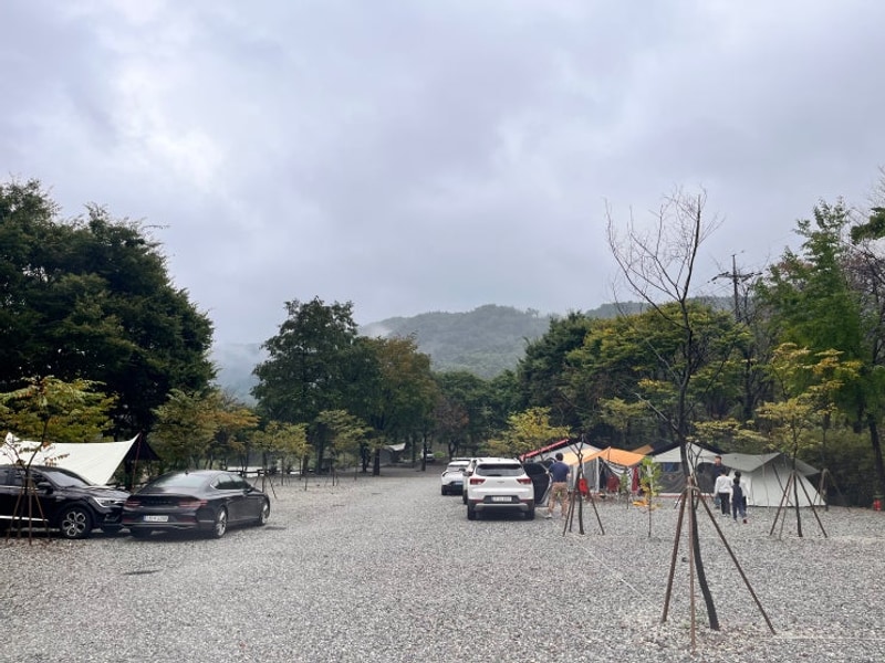 가평 물소리캠핑장 (애견동반)