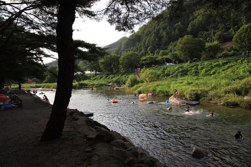 내리계곡 솔밭캠핑장 시설 사진 18