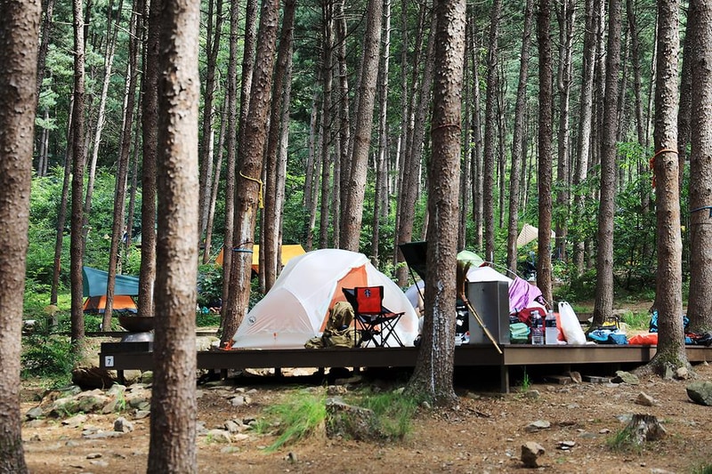 호명산잣나무숲속캠핑장 시설 사진 5