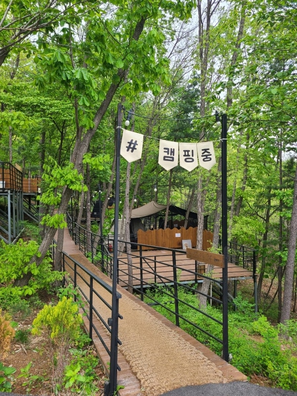 서울근교 애견동반 가평 블루문 캠핑장 공기 좋고 시설도 깔끔...