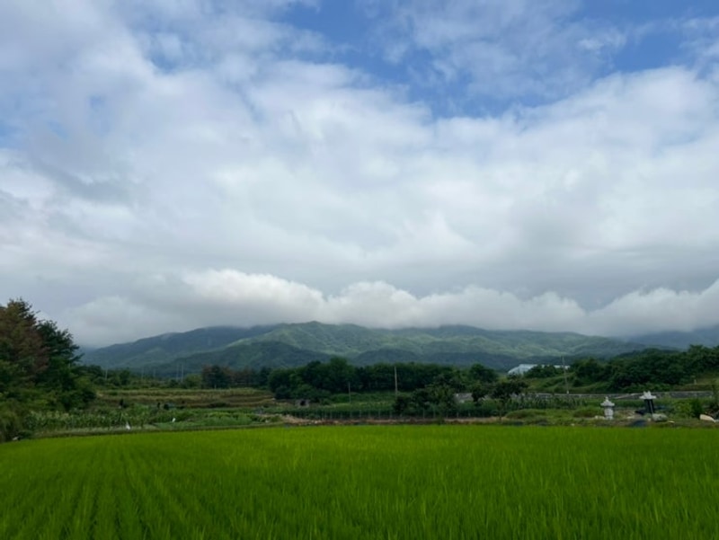함양_어머니댁 방문_잠깐 전주_레인보우캠프