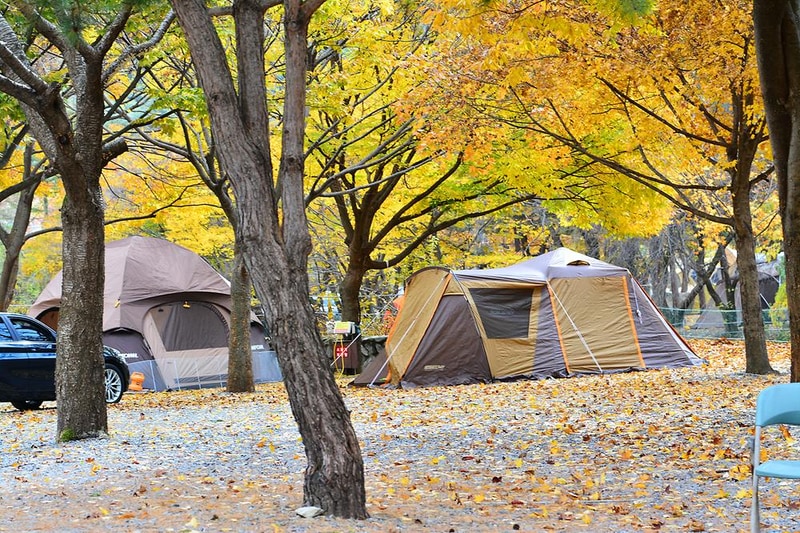 개울가오토캠핑장 시설 사진 1