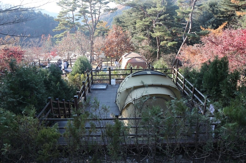 동두천자연휴양림 야영장