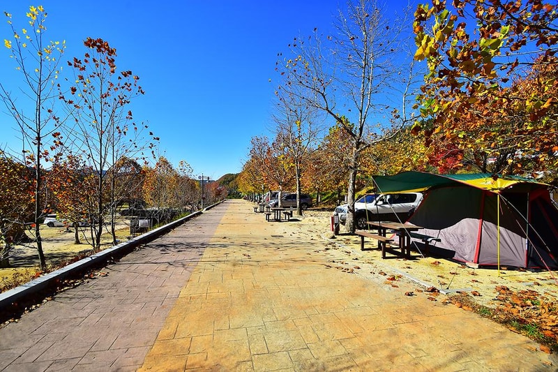 주왕산국립공원 상의자동차 야영장 시설 사진 19