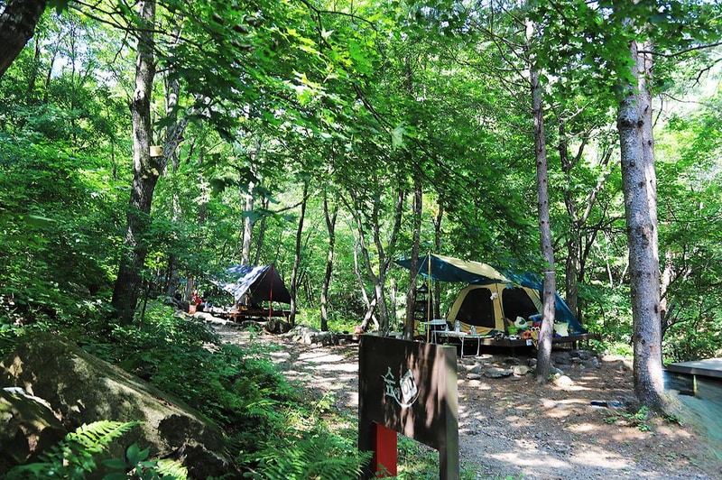 국립용대자연휴양림 시설 사진 4